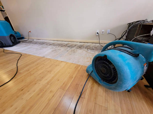 Reliable Basement Flood Cleanup contractor in Fairview, OK by Hirex Water Damage