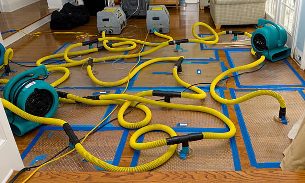 Professional Basement Flood Cleanup technician working in Fairview, OK